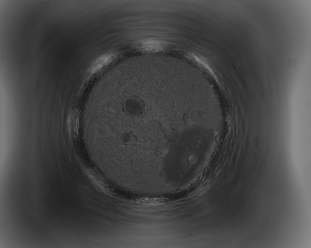 X0000085040495200703051354