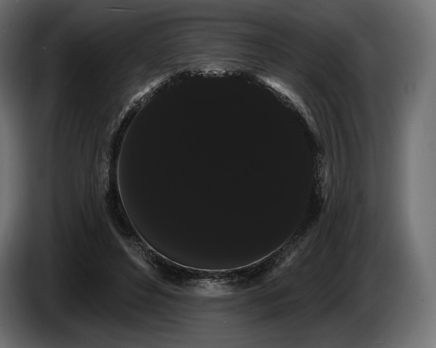 X0000085040496200703051354