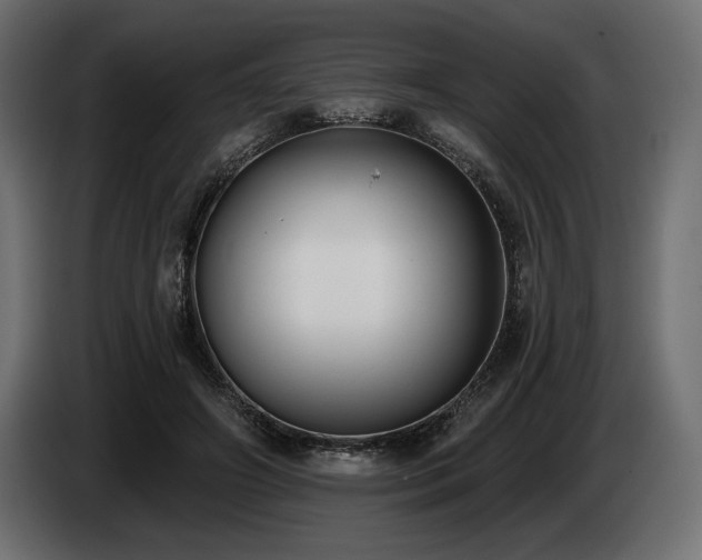 X0000085040498200703051354