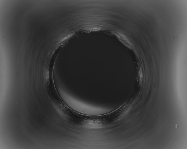 X0000085040500200703051354