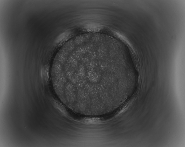 X0000085040501200703051354