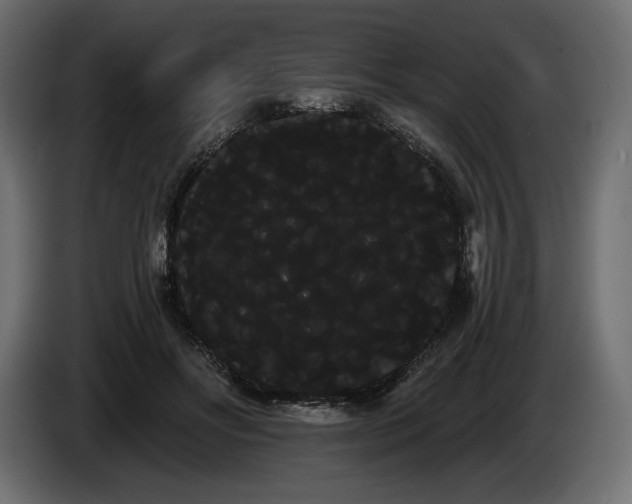 X0000085040502200703051354