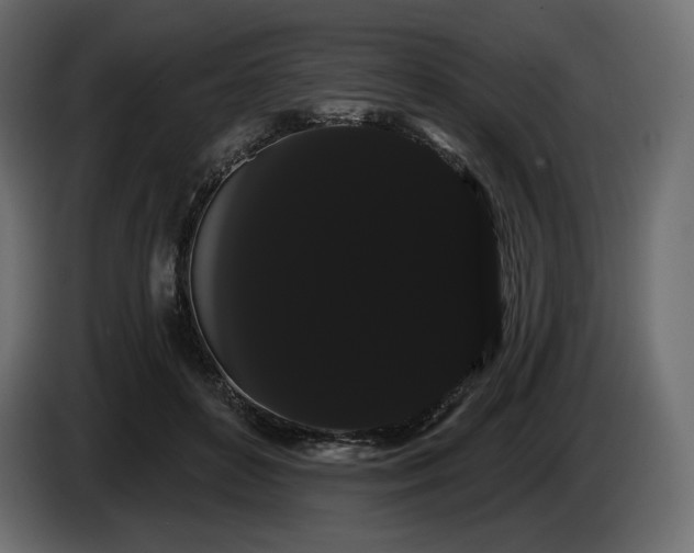 X0000085040504200703051354