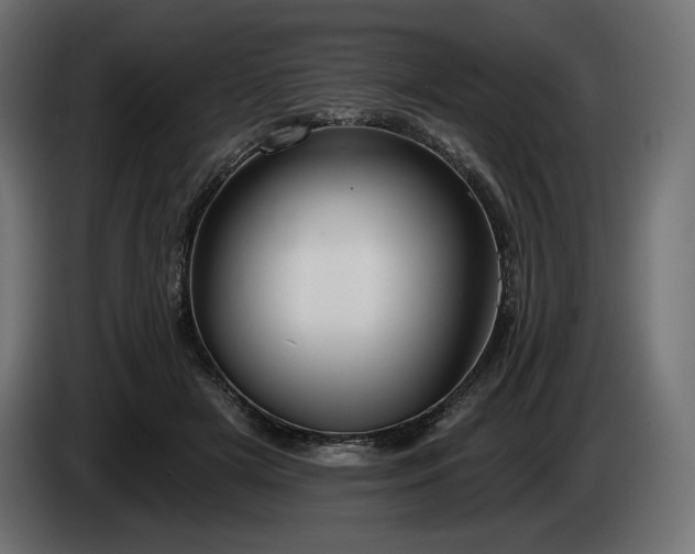 X0000085040505200703051354