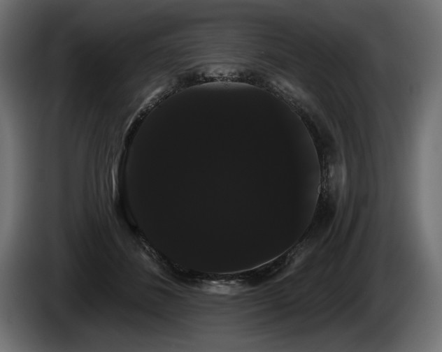 X0000085040508200703051354