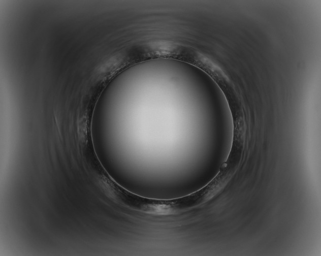 X0000085040509200703051354
