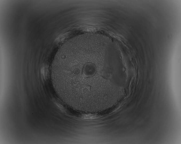 X0000085040511200703051354