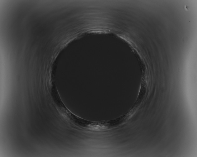 X0000085040512200703051354