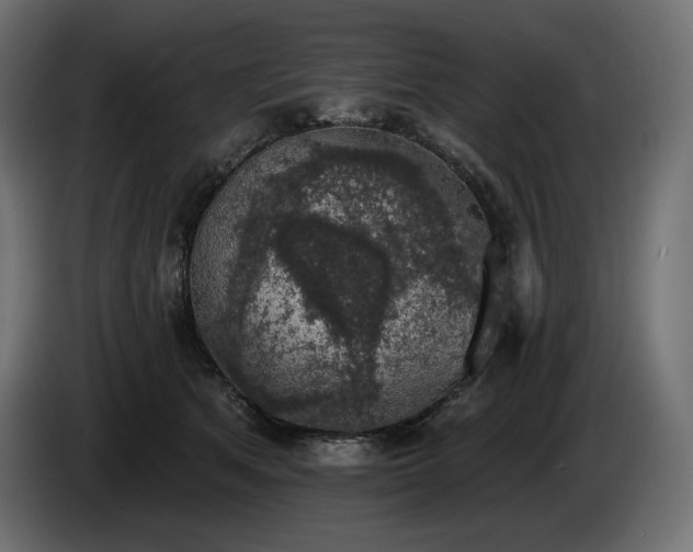 X0000085040513200703051354