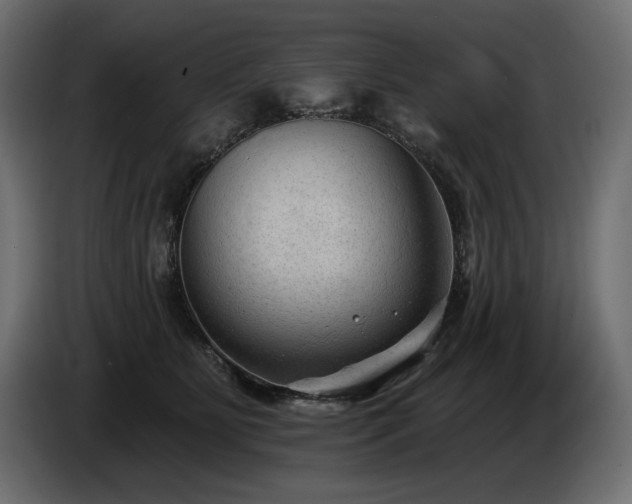 X0000085040515200703051354