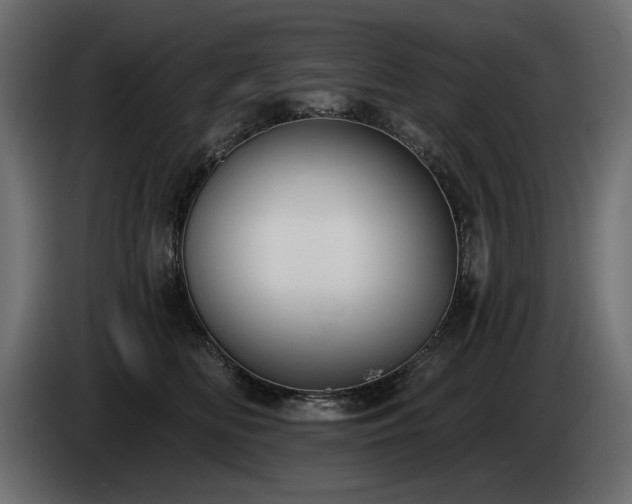 X0000085040518200703051354