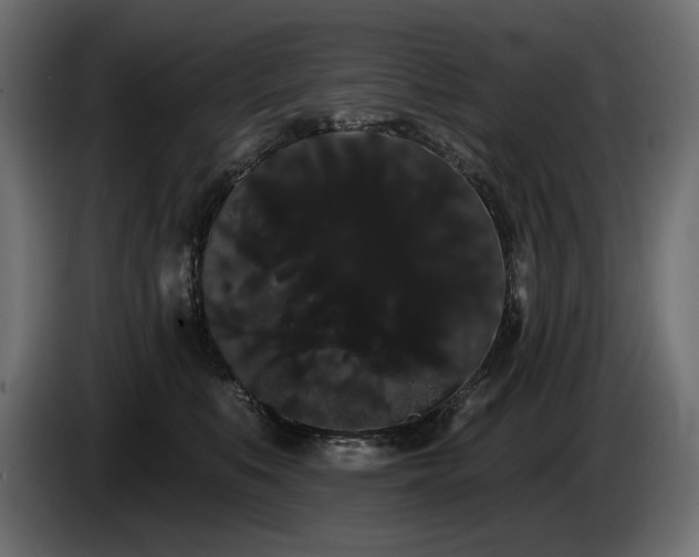X0000085040519200703051354