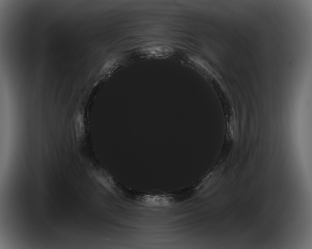 X0000085040520200703051354