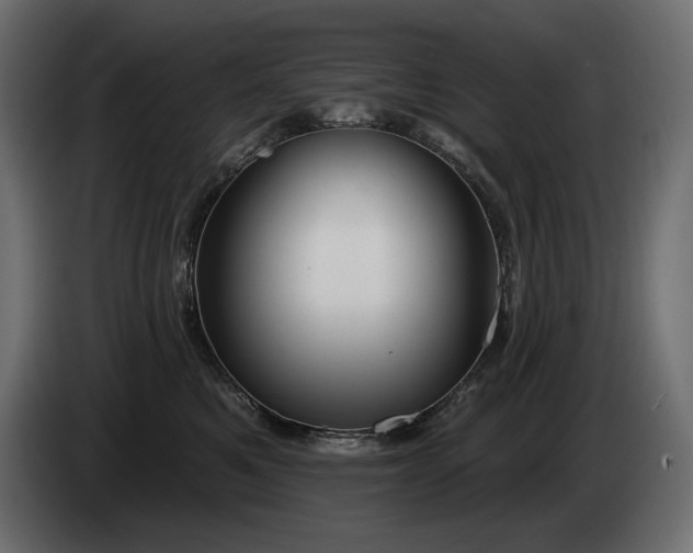 X0000085040521200703051354