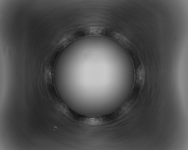 X0000085040522200703051354
