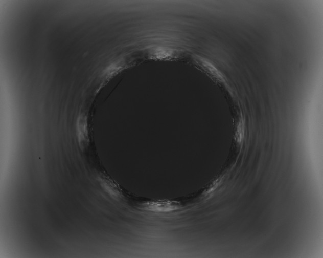 X0000085040524200703051354