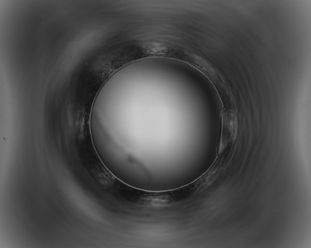 X0000085040525200703051354