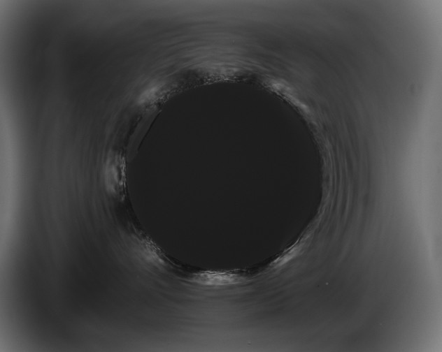 X0000085040528200703051354