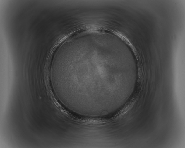 X0000085040529200703051353