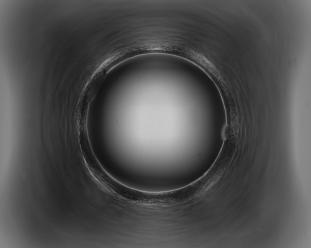 X0000085040530200703051353