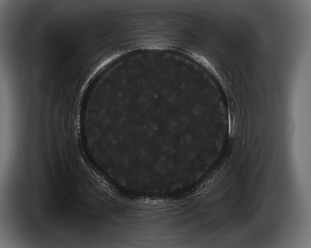 X0000085040531200703051353