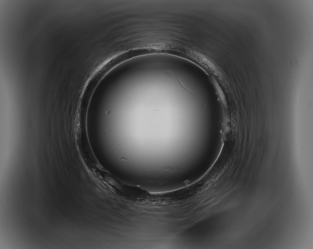 X0000085040532200703051353