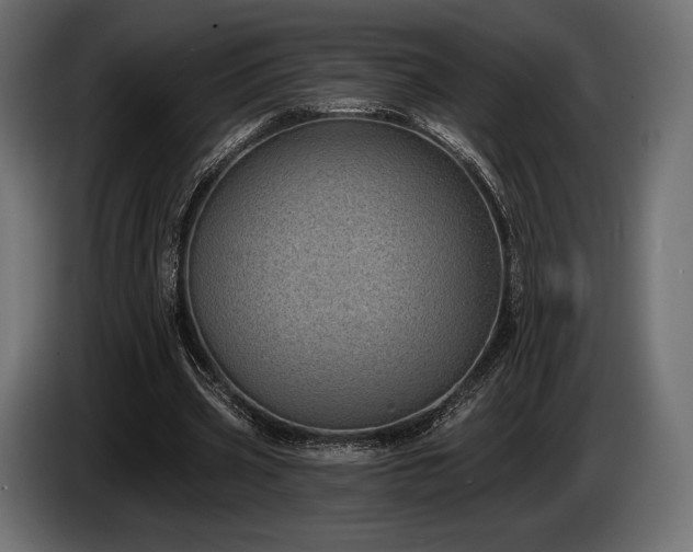 X0000085040533200703051353