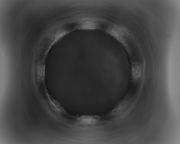 X0000085040534200703051353