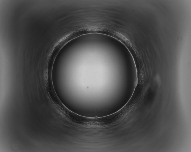 X0000085040535200703051353