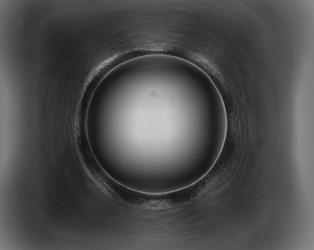 X0000085040536200703051353