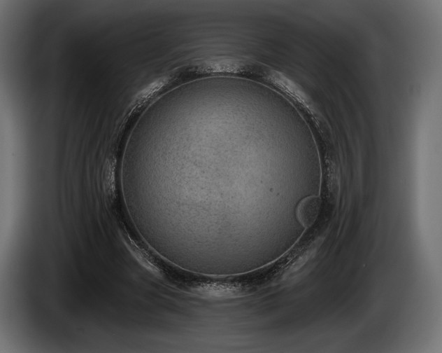 X0000085040537200703051353
