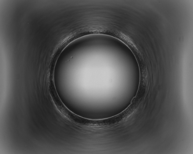 X0000085040538200703051353