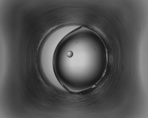 X0000085040540200703051353