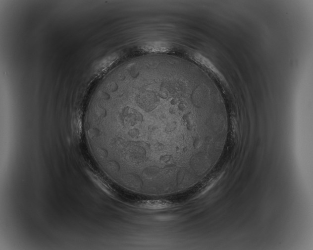 X0000085040541200703051353