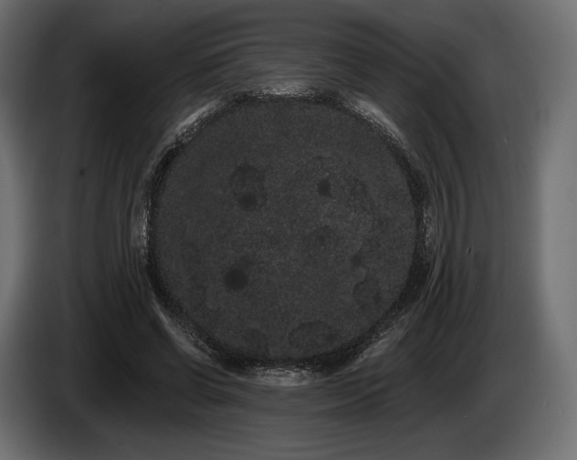 X0000085040542200703051353