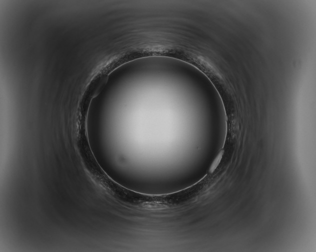 X0000085040544200703051353