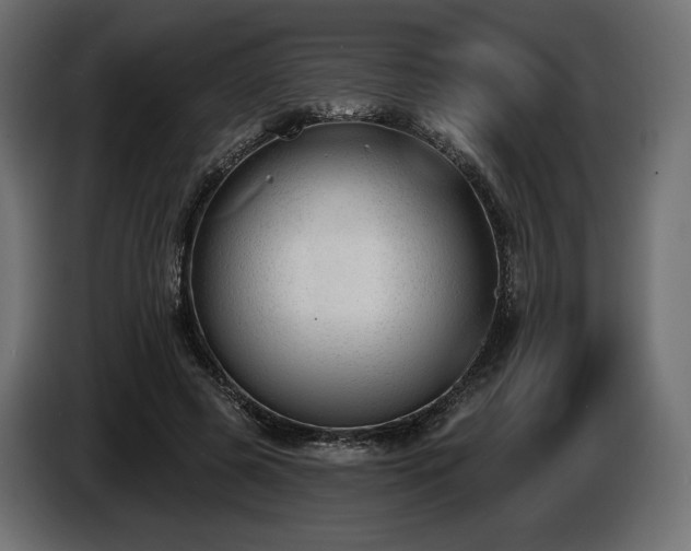 X0000085040545200703051353