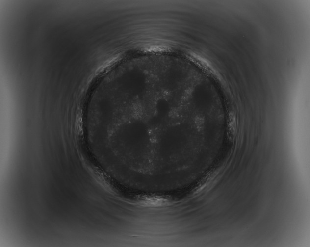 X0000085040547200703051353