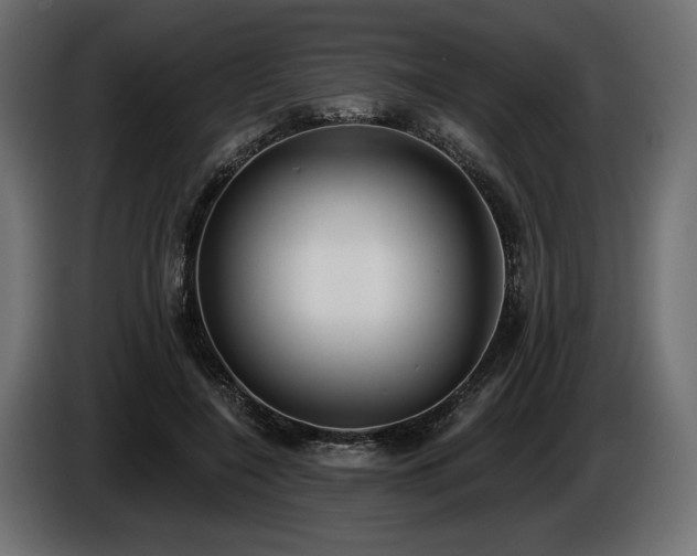 X0000085040548200703051353