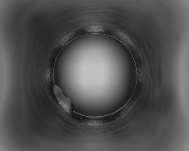 X0000085040549200703051353