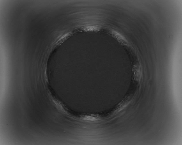 X0000085040550200703051353