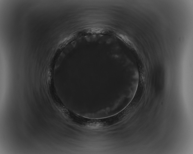 X0000085040551200703051353
