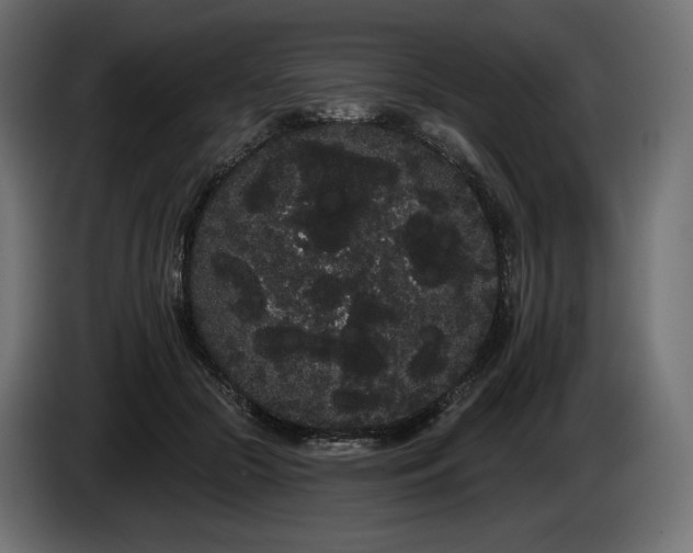 X0000085040553200703051353