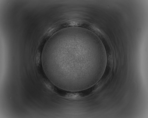 X0000085040554200703051353