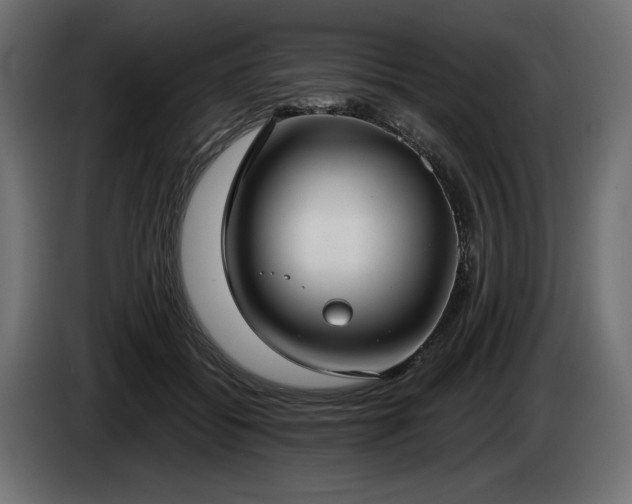 X0000085040556200703051353