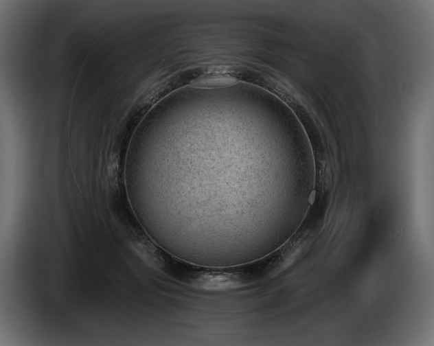 X0000085040557200703051353
