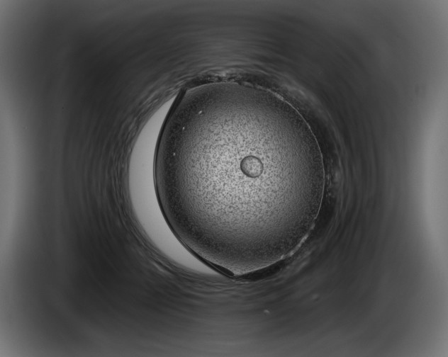 X0000085040558200703051353