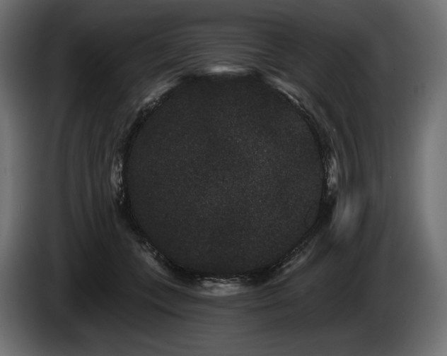 X0000085040559200703051353