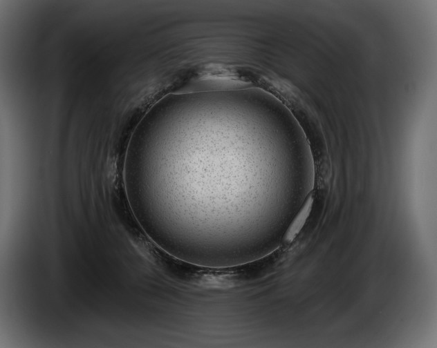 X0000085040560200703051354