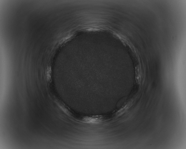X0000085040563200703051354